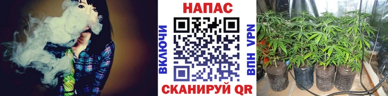 МАРИХУАНА ГИДРОПОН  блэк спрут ссылка  Тверь 